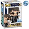 Funko POP! 197 Harry Potter - Harry Potter With Hedwig Special Edition