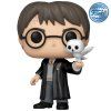 Funko POP! 197 Harry Potter - Harry Potter With Hedwig Special Edition