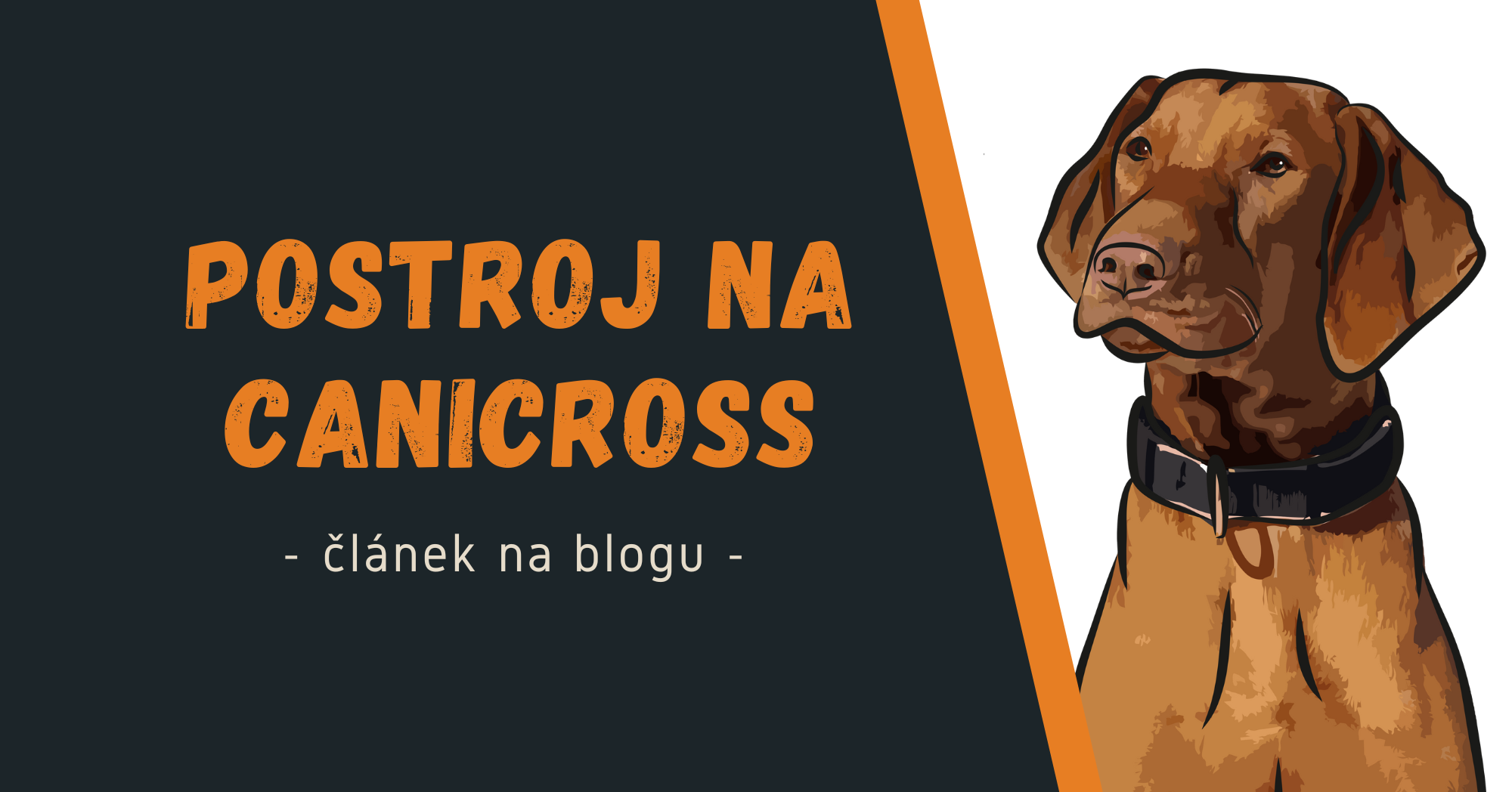 Jak vybrat canicross vybavení -  postroj na canicross