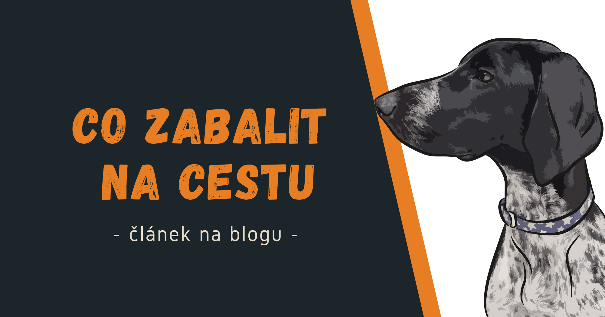 Dovolená se psem - co zabalit na cestu?