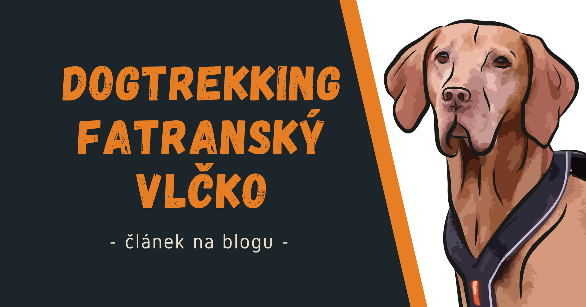 Dogtrekking Fatranský Vlčko