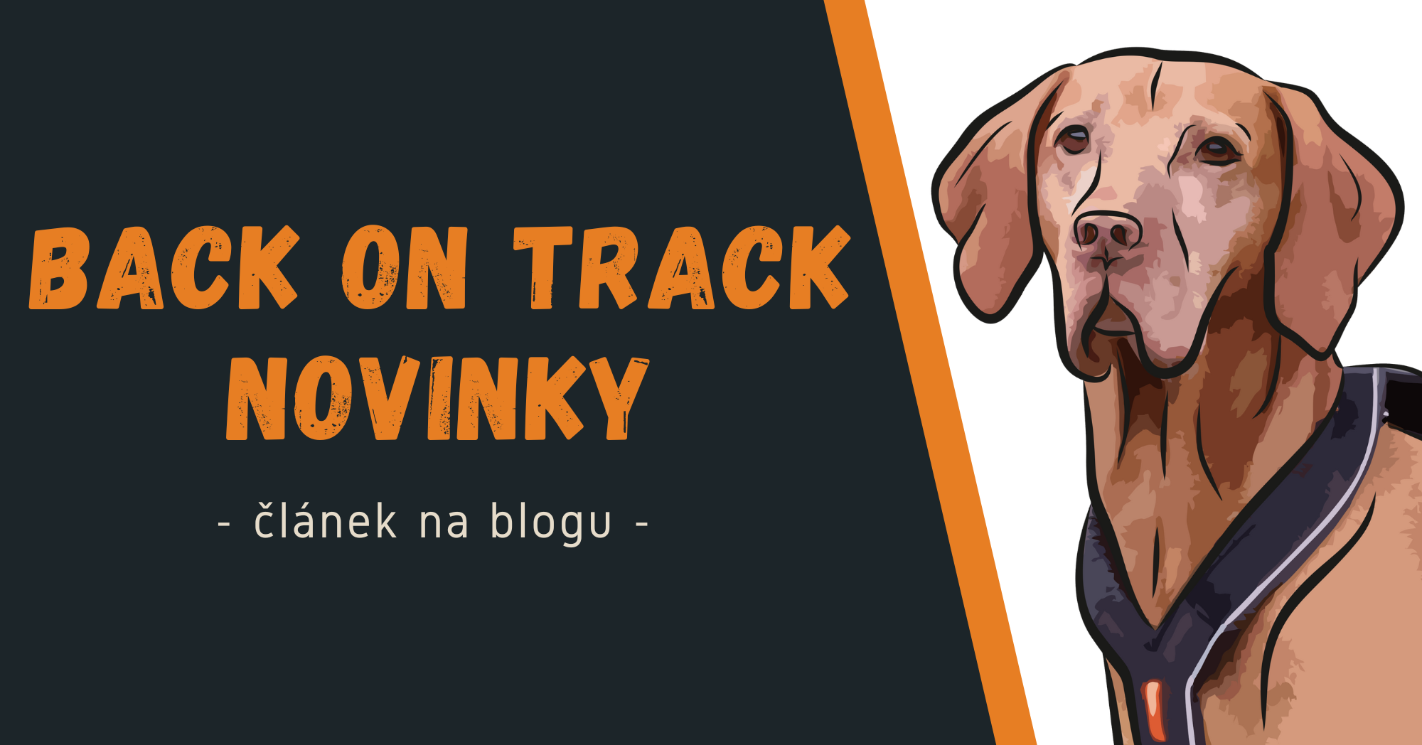 Back on Track - novinky 2025/2026