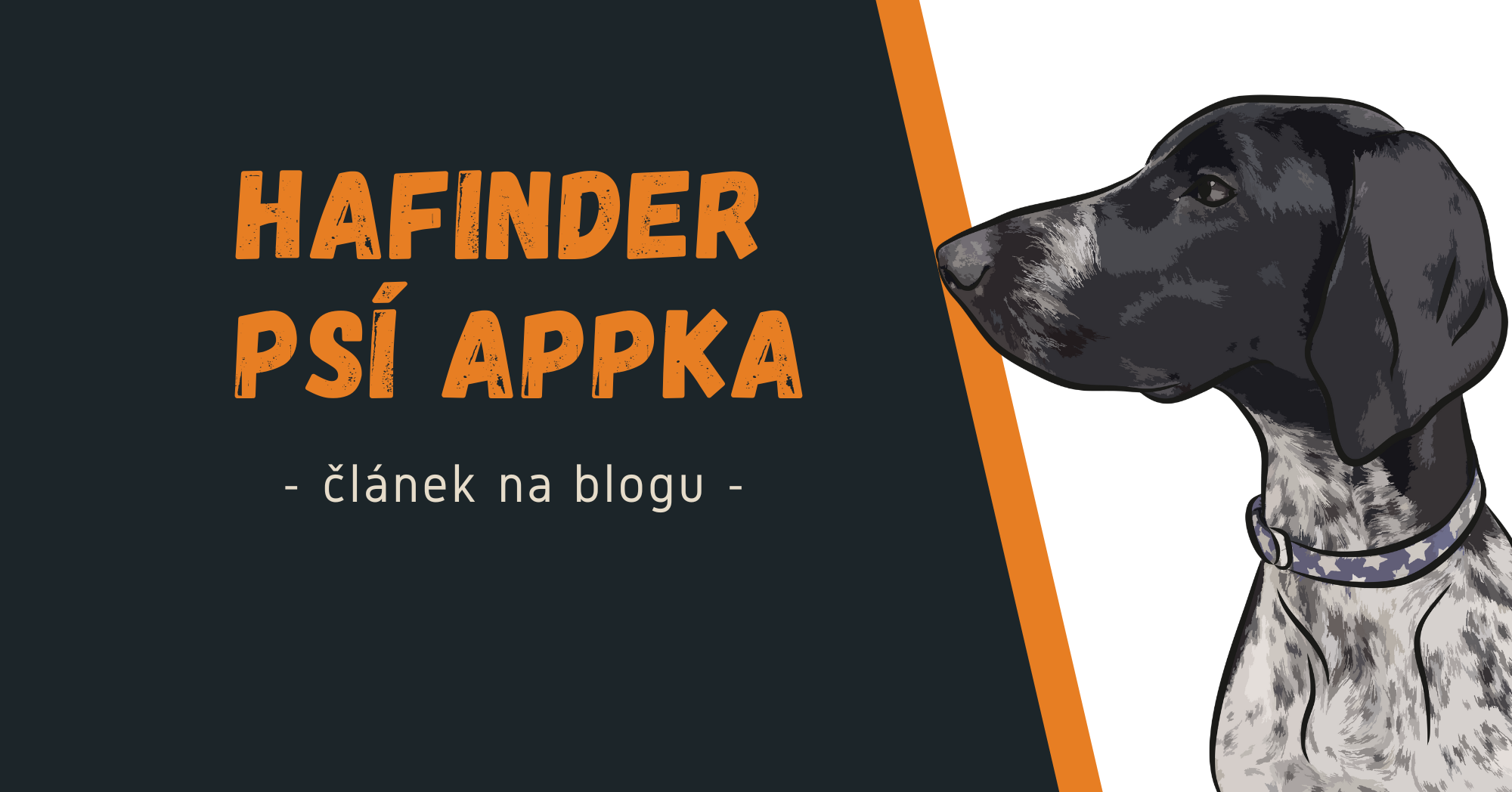 Hafinder: Najděte dokonalého psího parťáka pro svého mazlíčka! 🐾