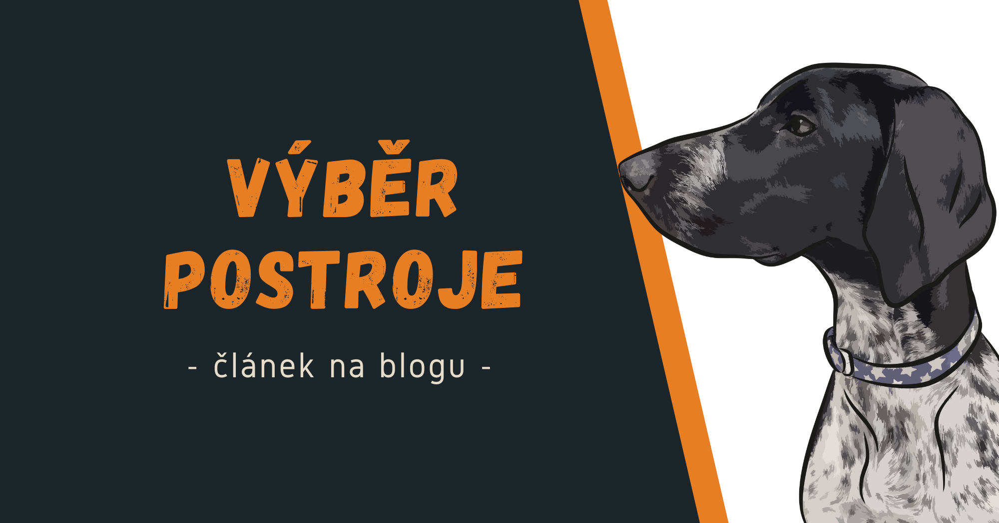 Jak vybrat postroj pro psa