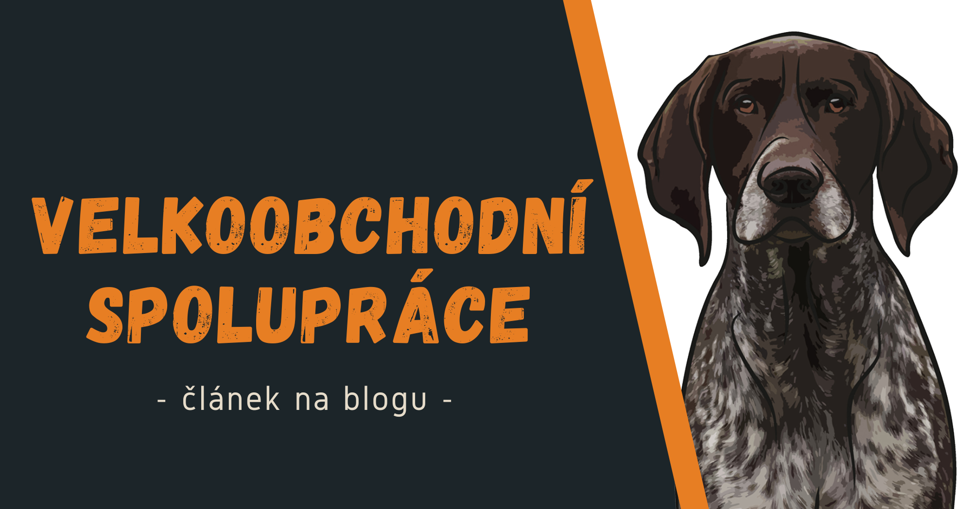 Velkoobchodní spolupráce
