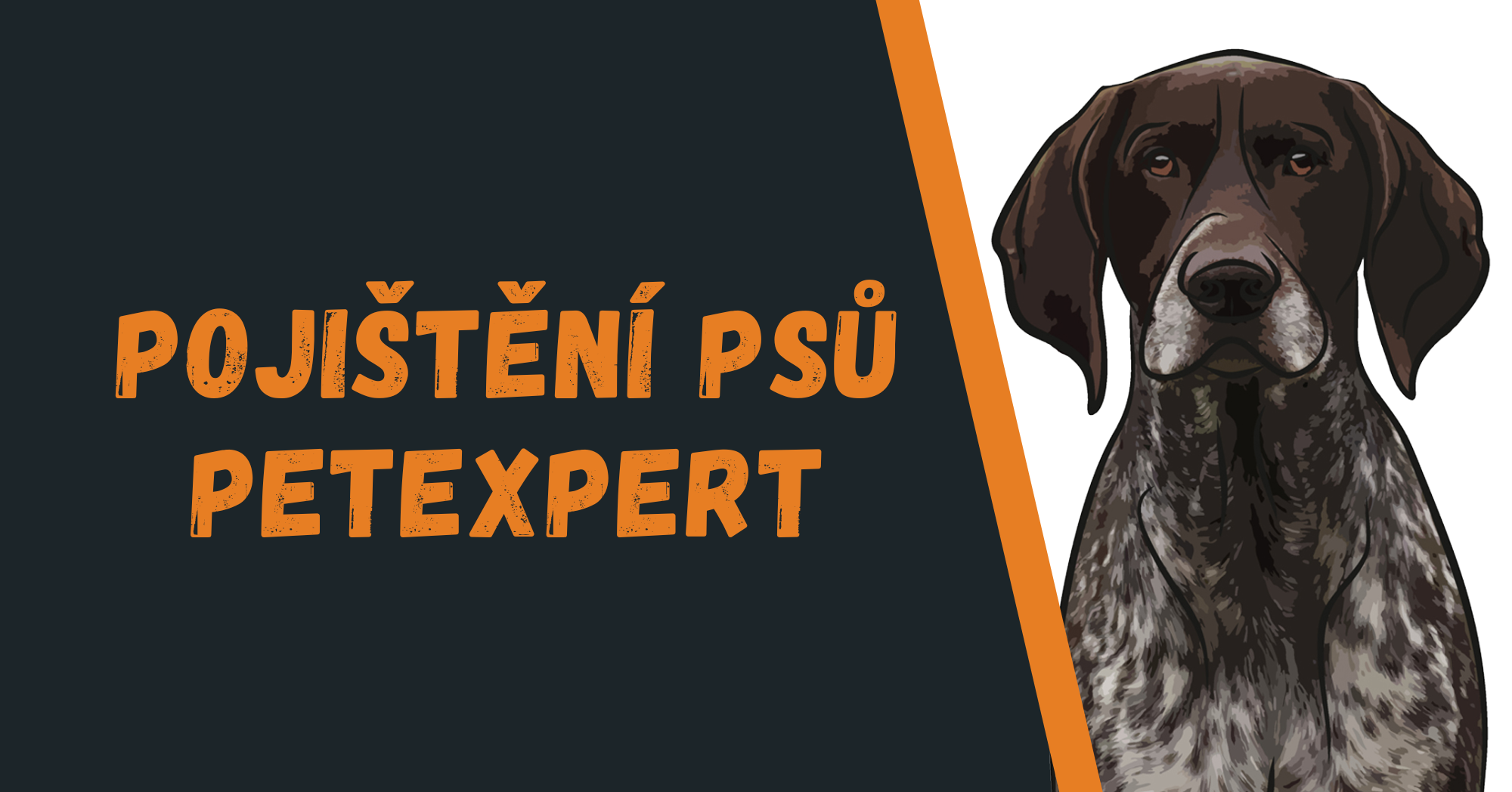 PetExpert - pojištění psů