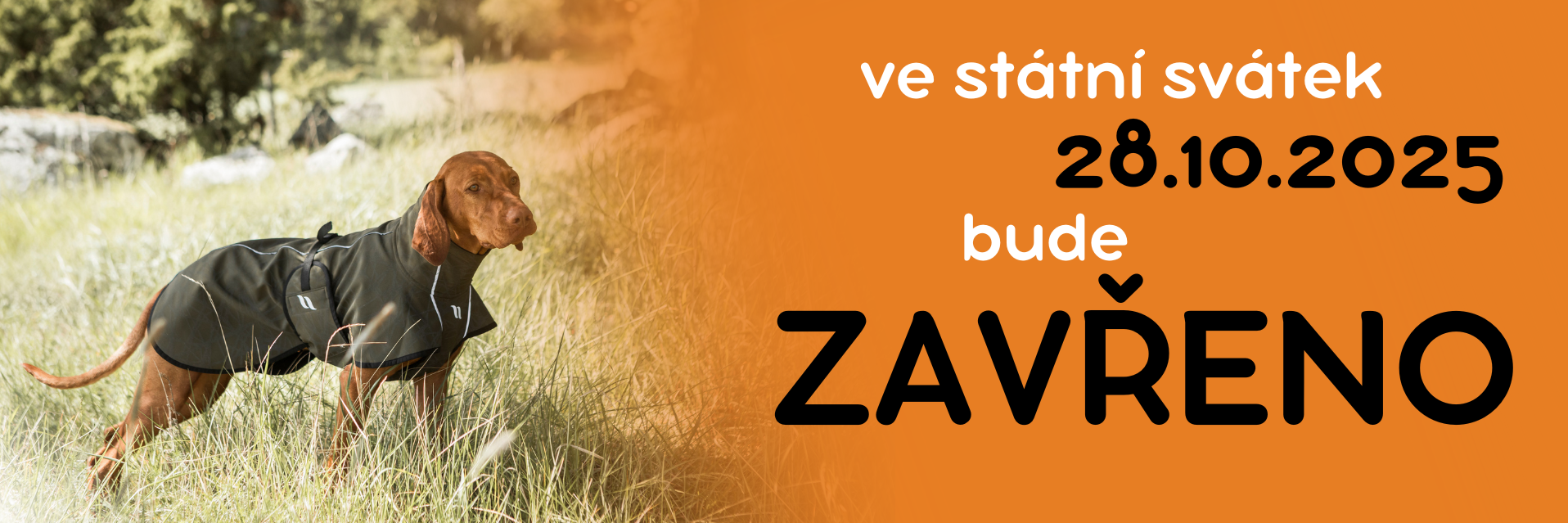 VE STÁTNÍ SVÁTEK ZAVŘENO
