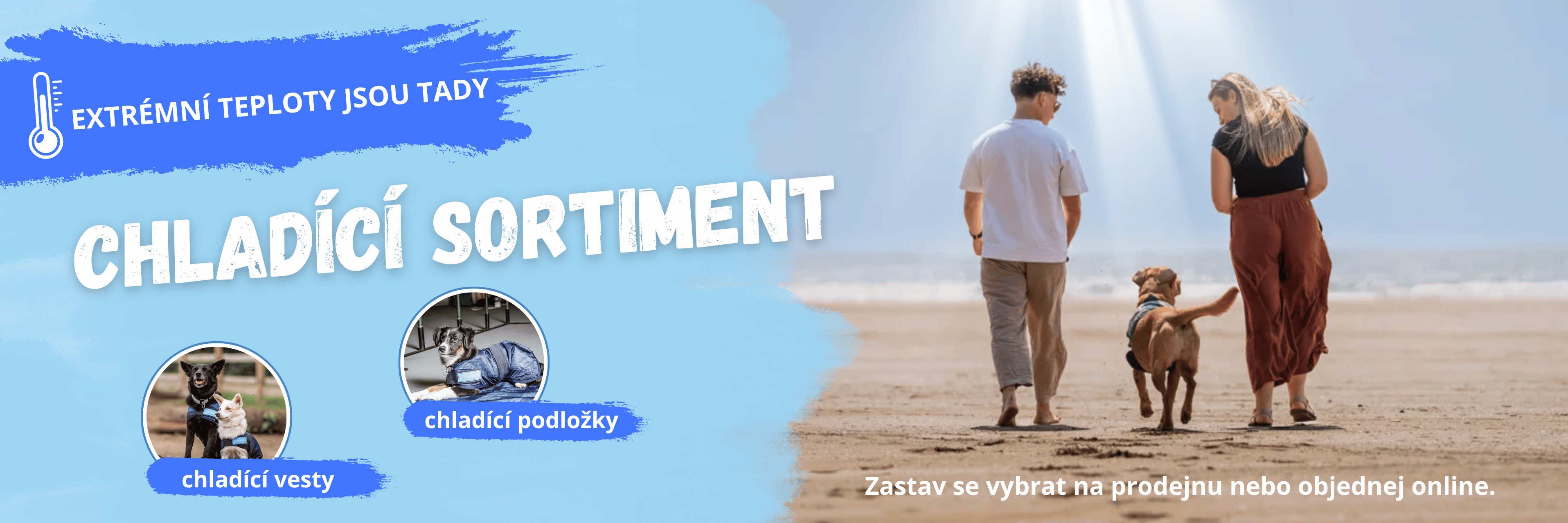 Chladící vesty a podložky pro psy - cesta, jak jim ulevit v extrémním horku