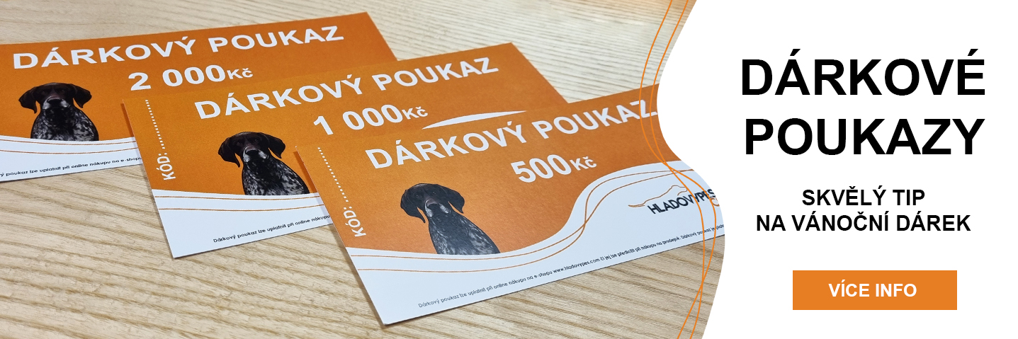 Dárkový poukaz jako skvělý dárek nejen pod stromeček