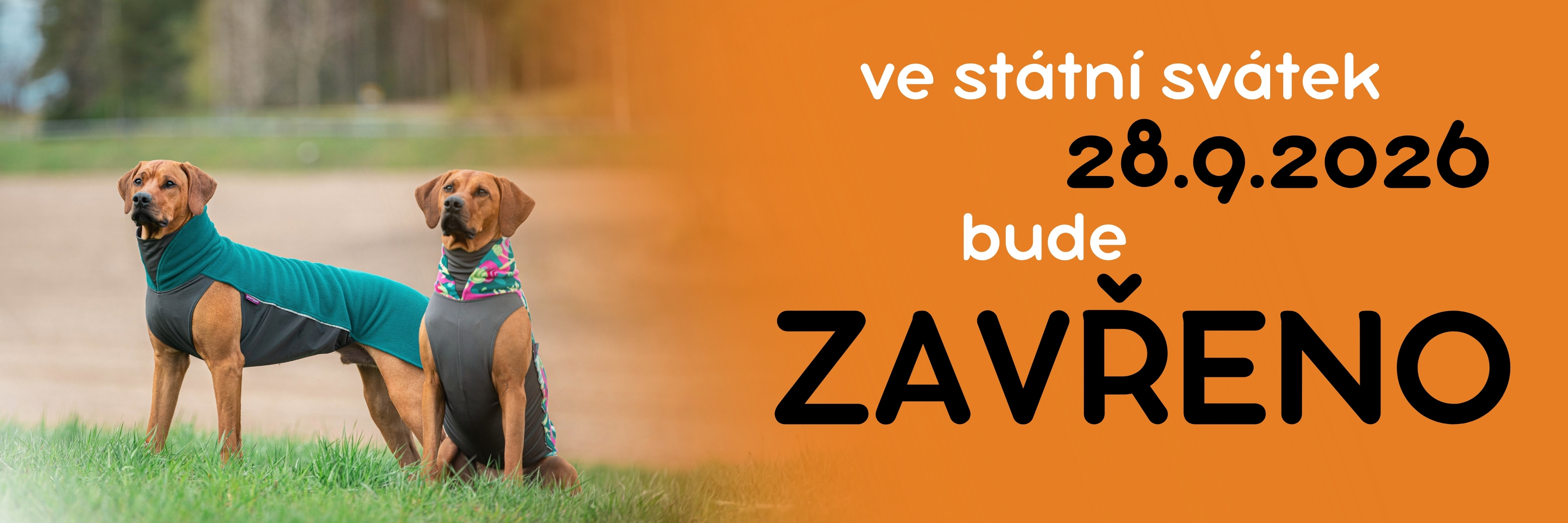 V pondělí státní svátek 28.9.2026 máme zavřeno