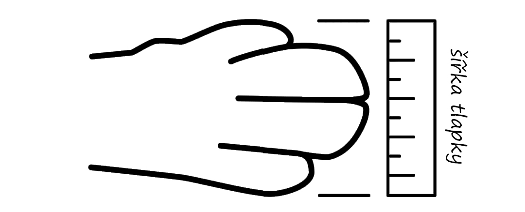 tlapka