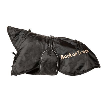 Back on Track - Dečka Standart