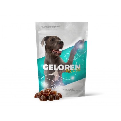 150 1 geloren dog xl mockup web (1)