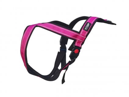 trop SNOOP mantrailing harness magenta 01