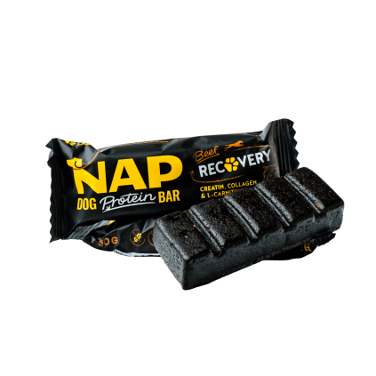 nap recovery main