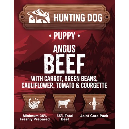 angus puppy SF