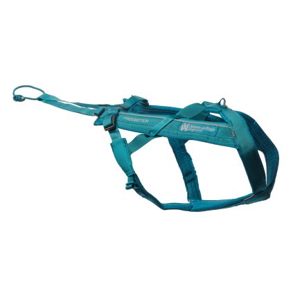 fm teal