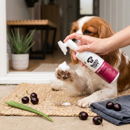 1773323129 5dc663e5 8eb9 4a95 9e71 fe238cc6f059.jpg