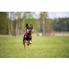 Pomppa Jumppa - Mikina Plum 8