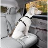 Bezpecnostni autopas pro psa s upinacim mechanismem Kurgo Direct to Seatbelt Tether 0203202204301797511