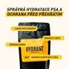 hydrant 1