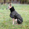 Back on Track - Dečka Whippet 3