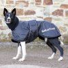 Back on Track - Dečka Whippet 4
