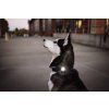 Orbiloc - Dog Dual Safety Light; Bílá 4
