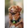 75028 20 orbiloc dog dual safety light