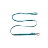 teal leash