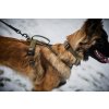 NON STOP Dogwear Solid Adjustable Collar WD1