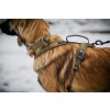 NON STOP Dogwear Solid Adjustable Collar WD2