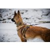 NON STOP Dogwear Solid Adjustable Collar WD3