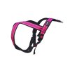 trop SNOOP mantrailing harness magenta 01