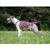 trop backbone sledd harness side magenta 600x450