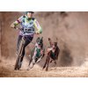 trop backbone xback harness bikejoring 2dogs 600x450