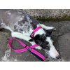 trop bond magenta set
