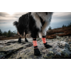 Non–stop dogwear ochranné botičky Protector high (4ks) 2