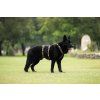 Non–stop dogwear postroj Line harness long WD 2