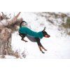 Pomppa Jumppa - Mikina Forest 4