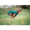 Pomppa Jumppa - Mikina Forest 8