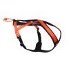 Non-stop dogwear postroj Rush oranžový