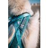 Non-stop dogwear postroj Rush teal 5