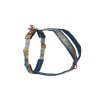 Line harness 5 0 RP teal oak full res