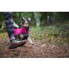 Pomppa Jumppa - Mikina Pink 12
