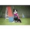 Pomppa Jumppa - Mikina Pink 10
