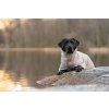 Non-stop dogwear župan Drying coat pro psy 5