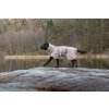 Non-stop dogwear župan Drying coat pro psy