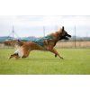 Non–stop dogwear postroj Freemotion 5.0 teal