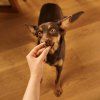 CARNILOVE Dog Soft Snack Duck & Rosemary 200 g2